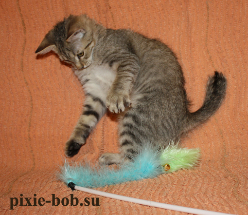 ���� �� 30.03.10 �