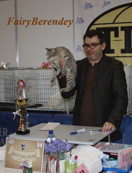 ринг Артема Савина