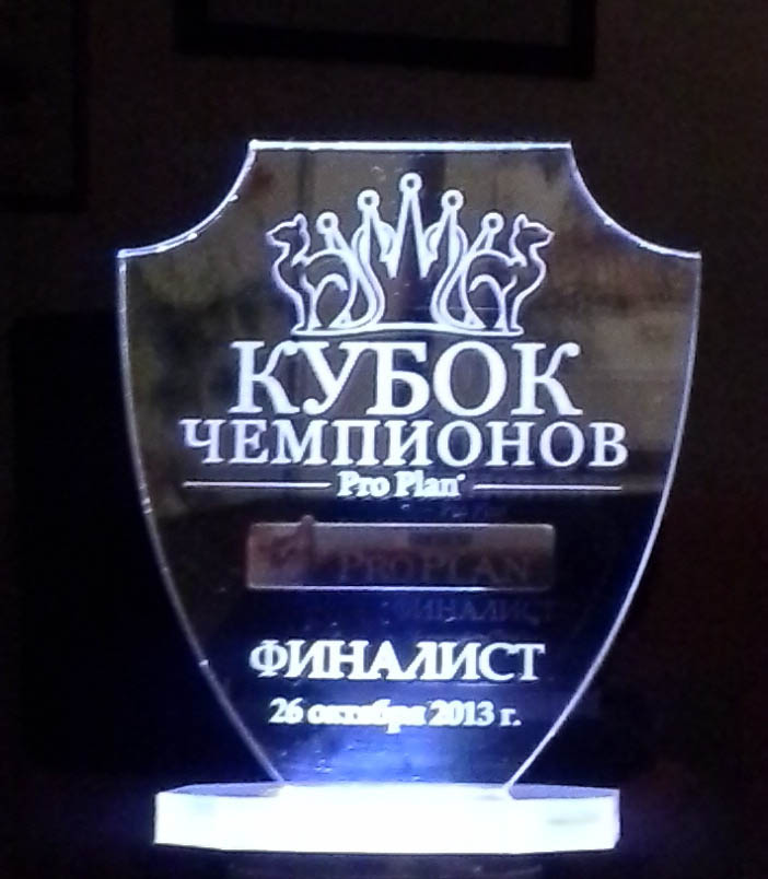 финалист Кубка Чемпионов