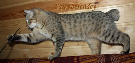 Флорушка
