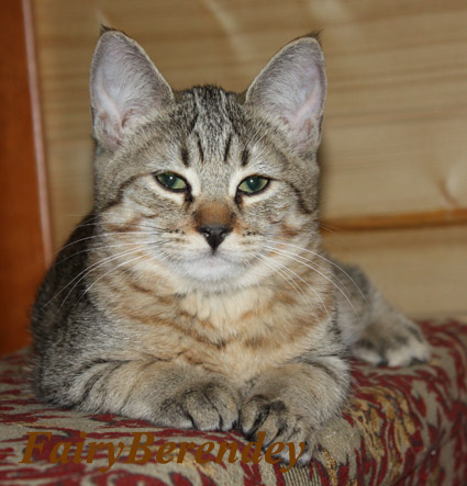 Солярис, 3 месяца