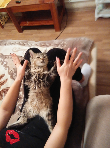 Ника