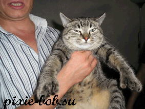 повзрослевшая Клепа у нас в гостях