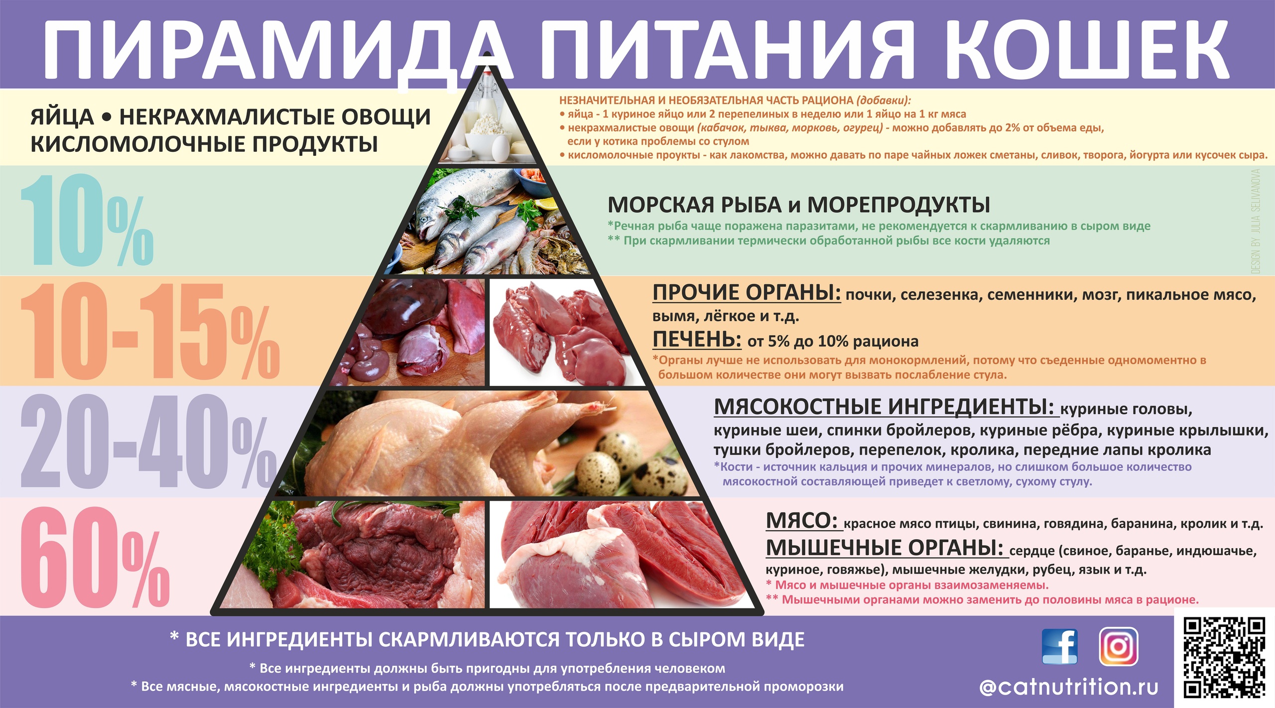 Можно ли есть мясо мелких животных сырое. Пирамида питания кошек натурального. Натуральный рацион для кошек. Рацион питания кошки. Сбалансированное натуральное питание для кота.